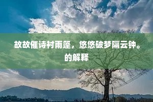 露钞雪纂成语的拼音