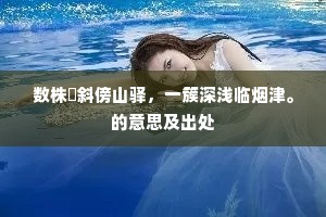 许身直以豪取名，快意那知武犯禁。上一句是什么？