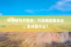 宝刀强弓千里马，风驰电射无敌者。下一句是什么？