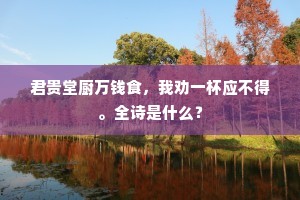 白银角盆大如艑，臛鸡煮蟹随纷罗。的释义