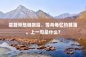 昏鸦独鹤何劳问，合暝投林各有依。上一句是什么？