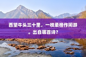 鸾凤和鸣成语的释义