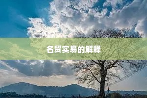 略无忌惮成语的拼音