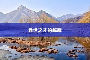 后生才资动出众，何至苦心城旦书。的意思及出处