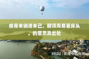 要使襟怀似云月，太虚无处不偕行。的意思及出处