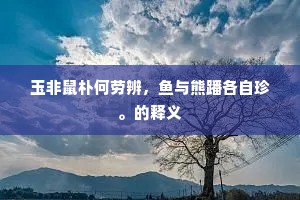 忙中有错成语的拼音
