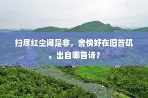 江岸青枫连白蘋，片帆如箭射千钧。全诗是什么？