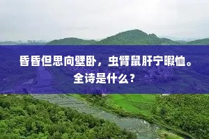 盲风怪雨成语的拼音