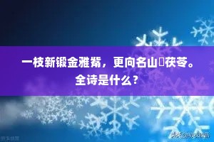 盲者得镜成语的拼音