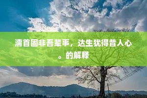 茫然自失成语的拼音