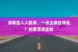 毛发耸然成语的解释