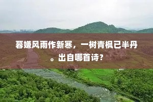 值有羽人招隐士，想君乘兴不知还。的意思及出处