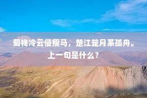 崩崖坏山出众宝，石刻鼎铸周秦馀。出自哪首诗？
