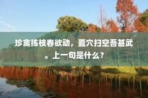 修竹缘崖高竦竦，早梅飘雪细珑珑。下一句是什么？