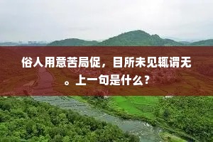 貌合神离成语的解释