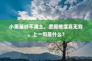 没头没脸成语的拼音