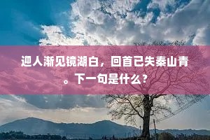 宫柳飞花暗度春，斛愁容贮奈伤神。的解释