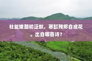 十里菰蒲百顷陂，秋风袅袅荡涟漪。上一句是什么？