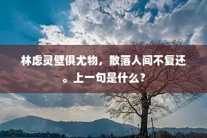 霜风洒叶都成赤，篱菊疏花杂间青。下一句是什么？