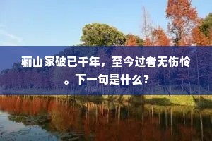 舞狂相属挥如意，醉起驰归掷叵罗。的解释