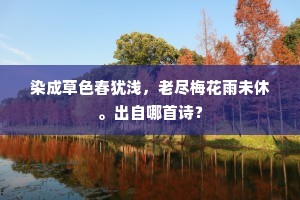 妙不可言成语的拼音