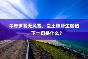 衰老常嫌带减围，那堪髀肉厌征騑。上一句是什么？