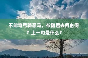 合浦因人去不还，隋侯未值报恩年。出自哪首诗？