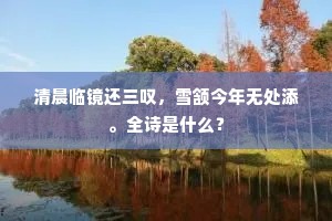 衣冠为子最青眼，兄弟数君仍白眉。全诗是什么？