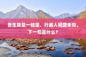 苍蝇轻巧蝴蝶狂，怒螳斮斧谁能当。的意思及出处
