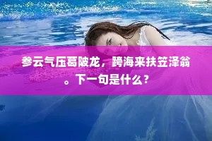 壮年名声却自惜，老去心神无处求。的释义