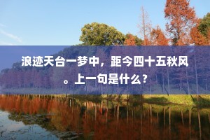 万骑将军西护羌，边尘无复近麾幢。的释义