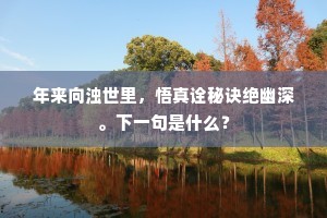 檄书不得从军乐，覢弩空令候小邦。的释义