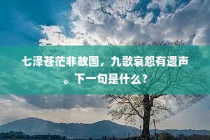 花外轩窗排远岫，竹间门巷带长流。的解释