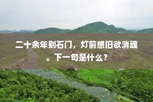 老侵须鬓茎茎白，情在篇章字字新。下一句是什么？