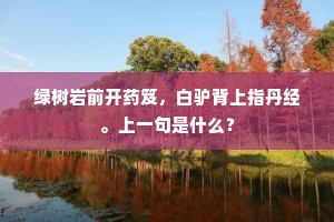 持平久奉虞刑恤，宣泽新承汉诏宽。的解释