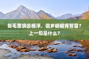 幽情自逐归鸿断，芳意还因远树迷。的意思及出处