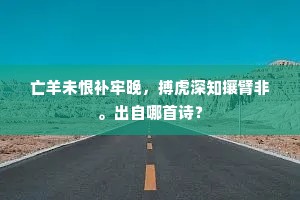 描龙绣凤成语的拼音