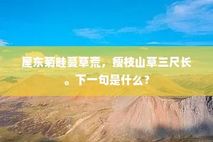 邈处欿视成语的解释