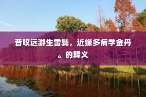 区区西北十经春，强力今为老病身。的解释