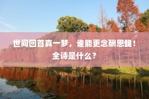 宿雾欲开星月澹，隐然双阙在层霄。的解释