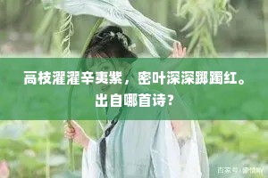 明验大效成语的拼音