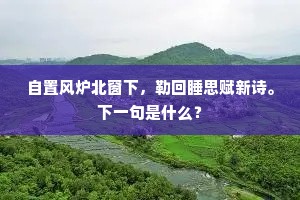 直使庸驽叨上笏，却教贤杰老西台。的解释