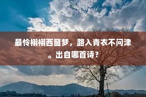 何时归伴赤松子，稳驾寻君物外车。的解释