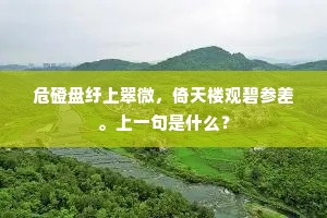 丛薄远青供极望，霁云低白半危巅。的解释