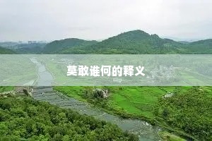 谁言智者不兼仁，请看新渠激硙轮。下一句是什么？
