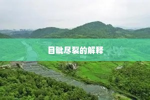 对景似嫌春意老，更摇疏影扫残花。的解释