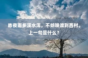 好古能文今者谁，武宁秘书章表民。的意思及出处