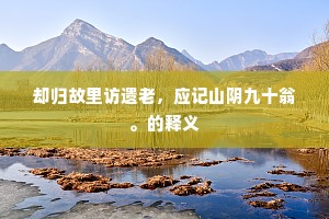 心休已得天真乐，身退犹存国事忧。的释义
