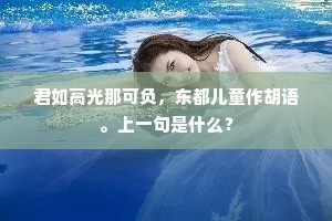 居官好恶宜加谨，诗拙徒思警后贤。的意思及出处
