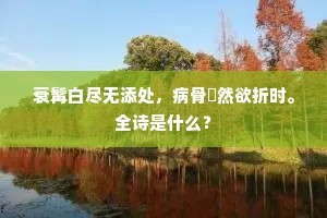 轻阴竹满窗间月，倒影莲开水下天。的意思及出处